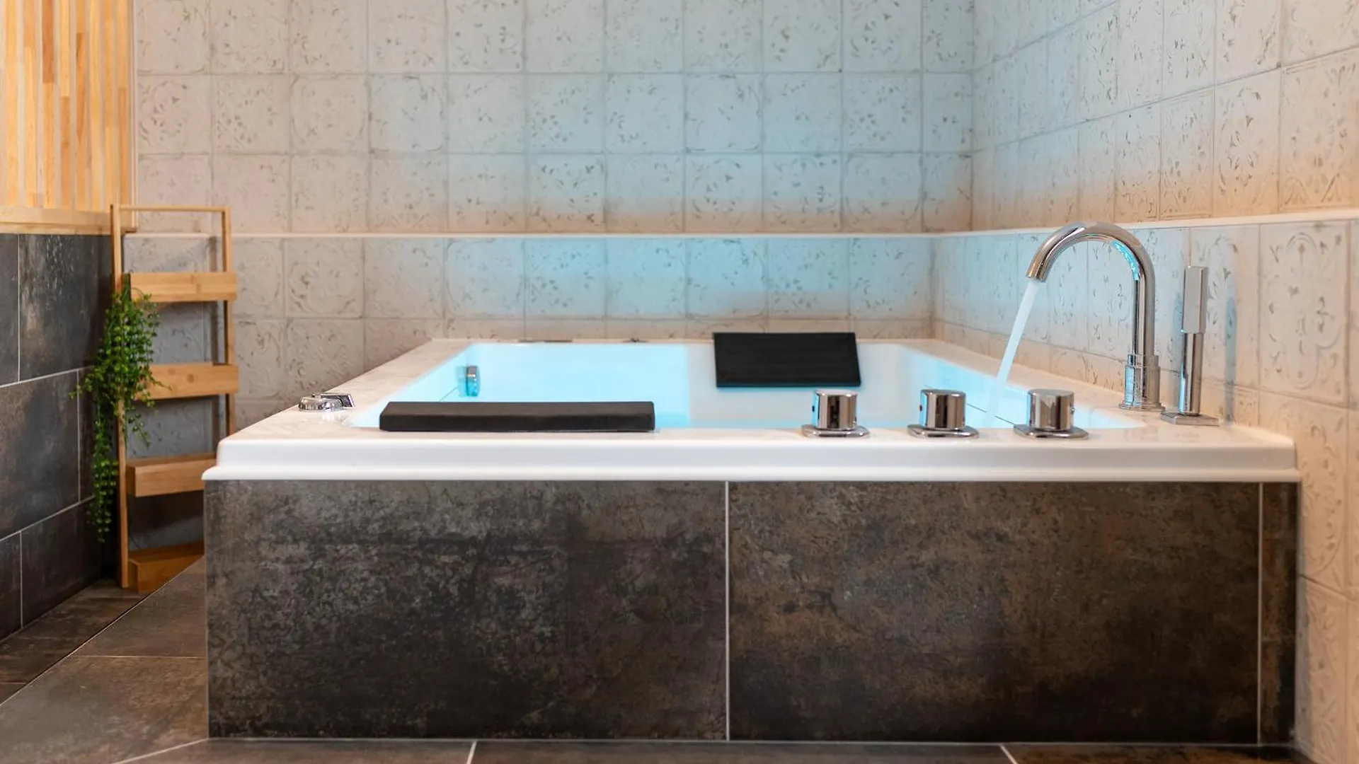Appartement Premium Jacuzzi Terrasse Climatisation Frouzins